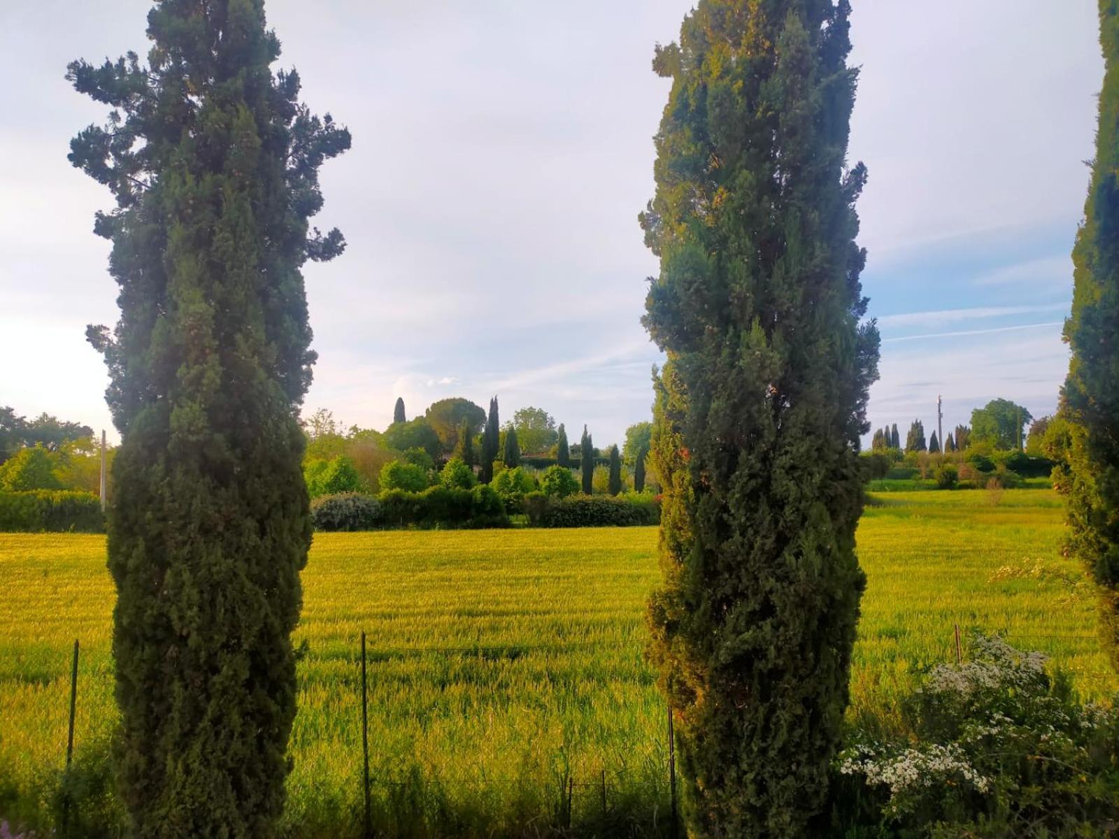 Villetta Con Parco Vicino San Gimignano Colle Val D'Elsa Eksteriør bilde